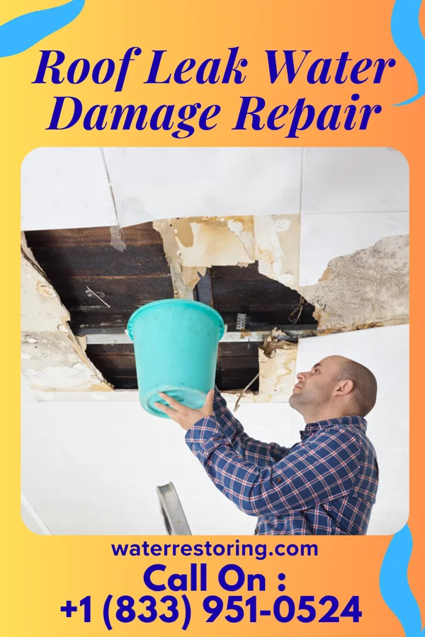 Roof Leak Water Damage Repair in Manchester, OK